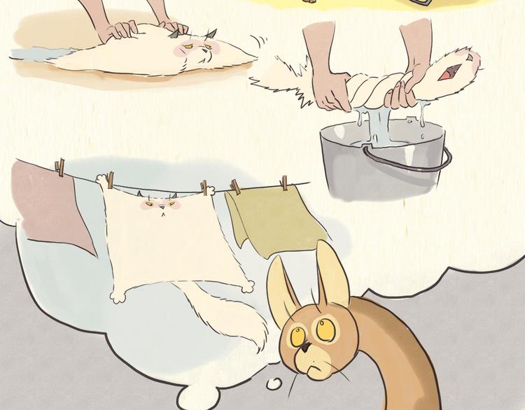 《一滩猫与一根猫》铲屎官 第24页