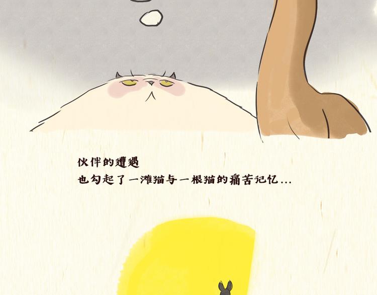 《一滩猫与一根猫》铲屎官 第25页