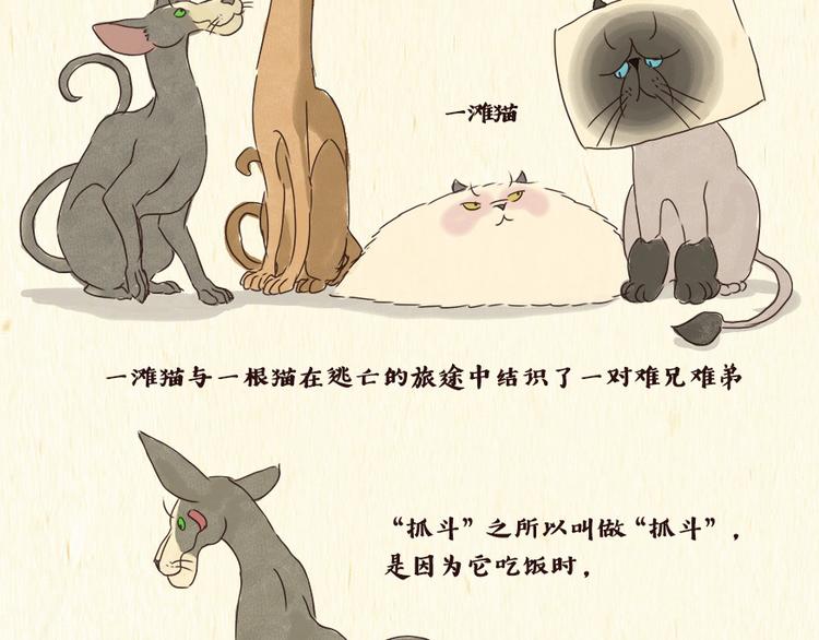 《一滩猫与一根猫》铲屎官 第2页