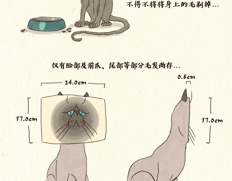 《一滩猫与一根猫》铲屎官 第4页
