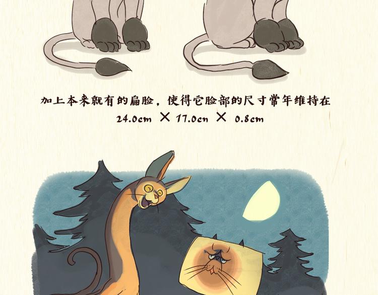 《一滩猫与一根猫》铲屎官 第5页