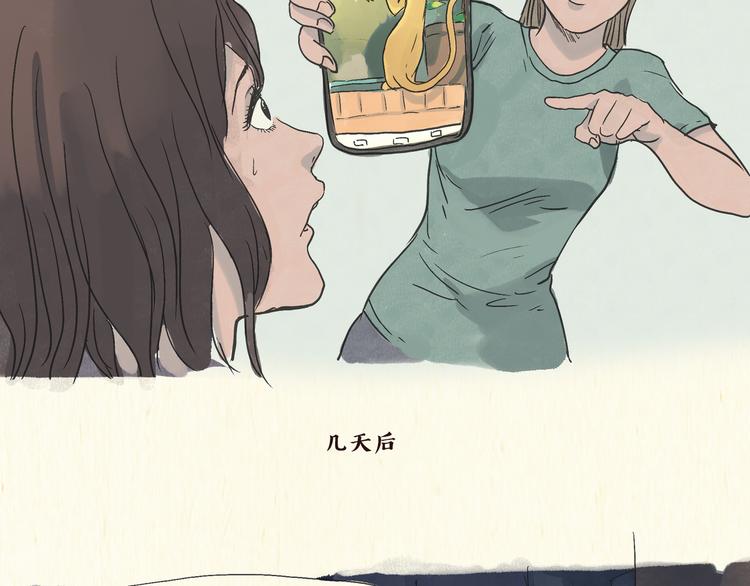 《一滩猫与一根猫》怪谈 第10页