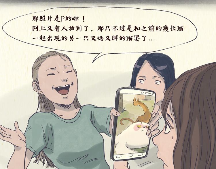 《一滩猫与一根猫》怪谈 第17页