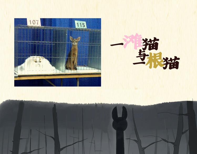 《一滩猫与一根猫》怪谈 第1页