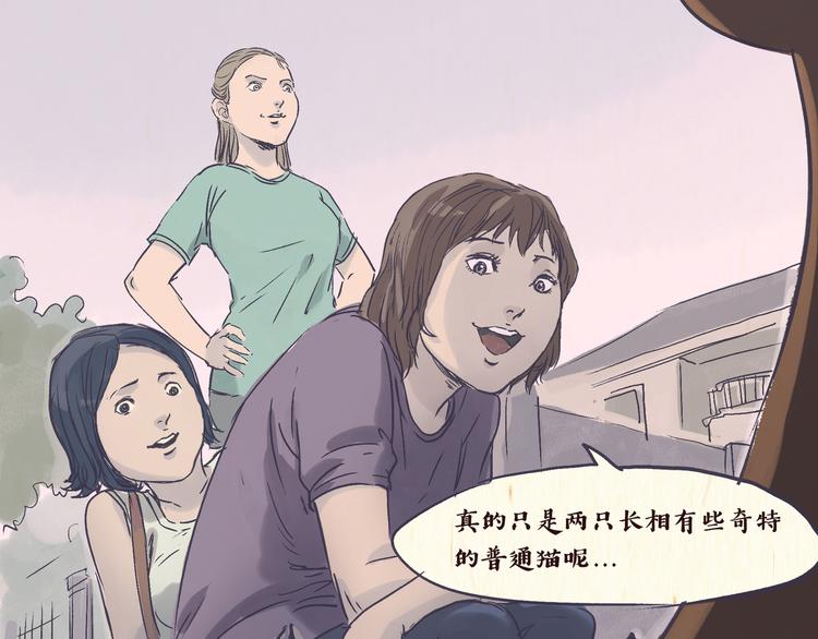 《一滩猫与一根猫》怪谈 第20页