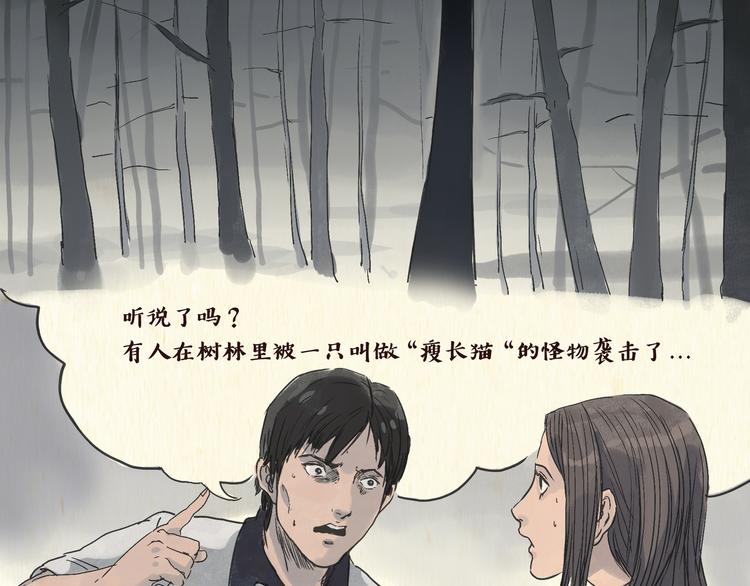 《一滩猫与一根猫》怪谈 第2页
