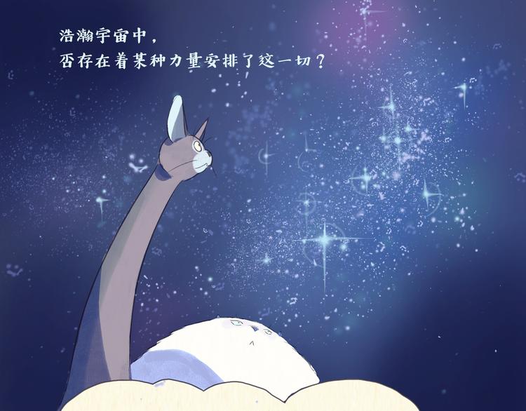 《一滩猫与一根猫》思索 第14页