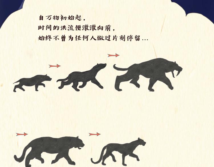 《一滩猫与一根猫》思索 第15页