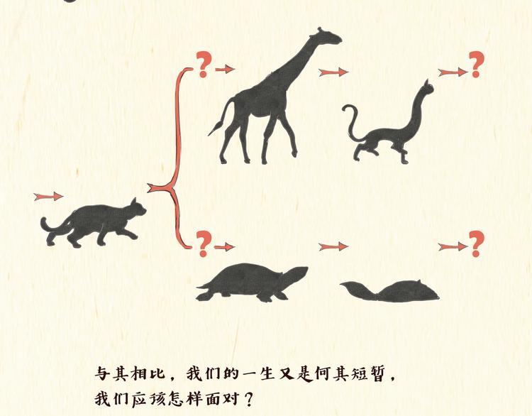 《一滩猫与一根猫》思索 第16页