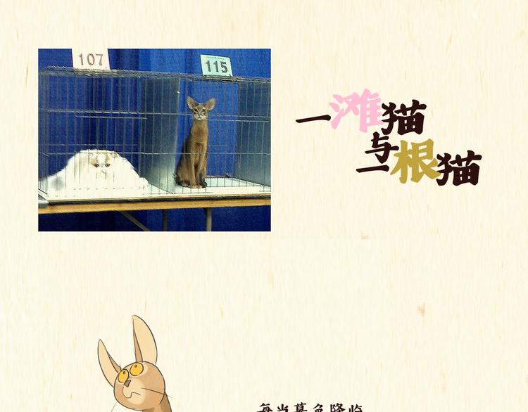 《一滩猫与一根猫》思索 第1页