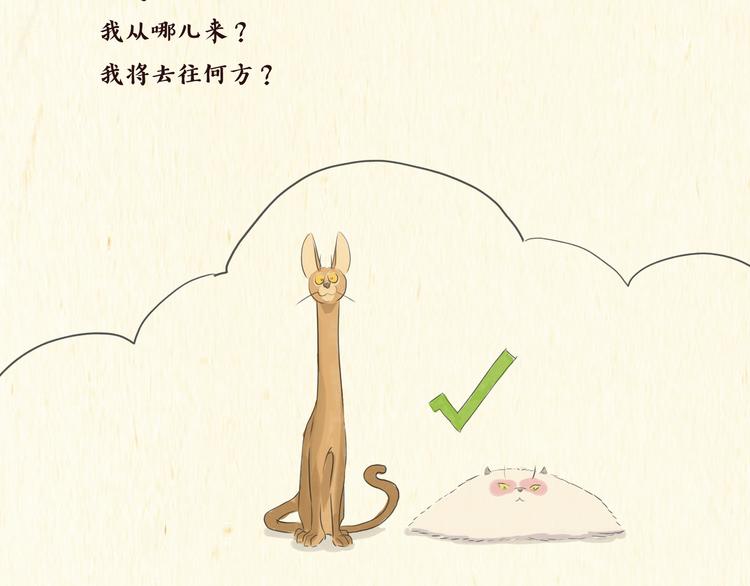 《一滩猫与一根猫》思索 第3页