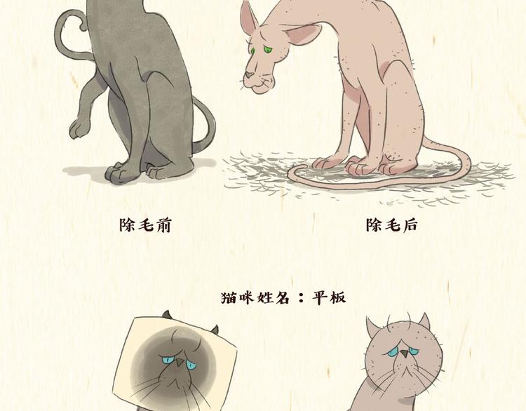 《一滩猫与一根猫》除毛 第12页
