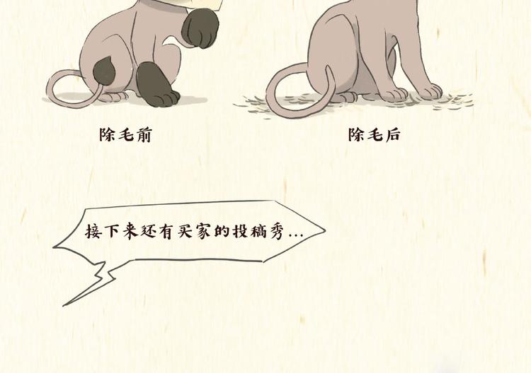 《一滩猫与一根猫》除毛 第13页