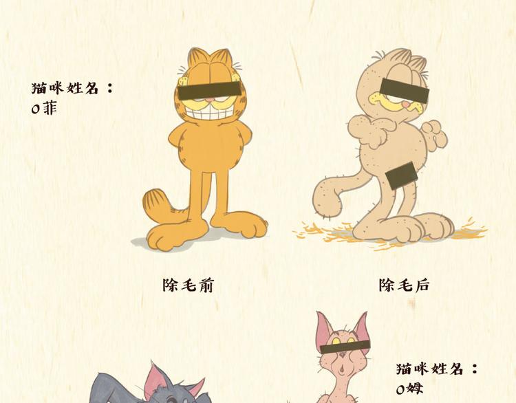 《一滩猫与一根猫》除毛 第14页
