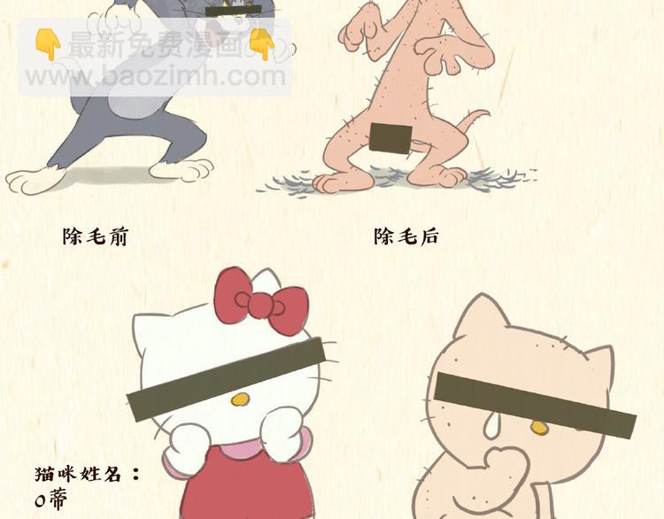 《一滩猫与一根猫》除毛 第15页