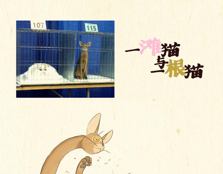 《一滩猫与一根猫》除毛 第1页