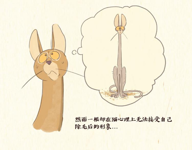 《一滩猫与一根猫》除毛 第20页