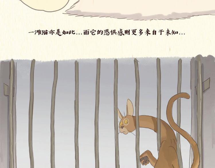 《一滩猫与一根猫》除毛 第22页