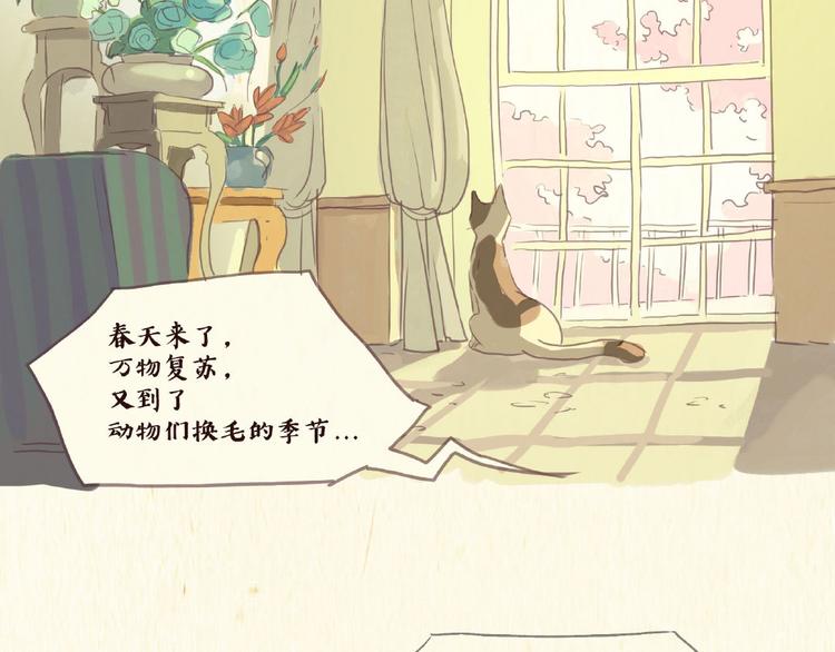 《一滩猫与一根猫》除毛 第3页
