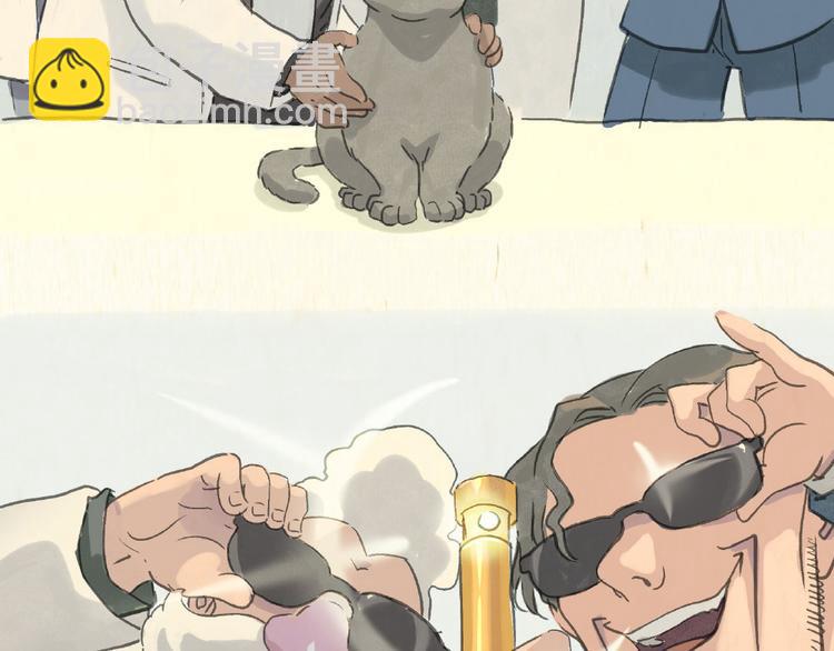 《一滩猫与一根猫》除毛 第7页