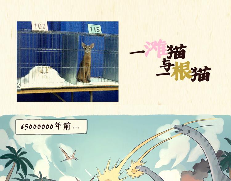 《一滩猫与一根猫》搅拌机（下） 第1页