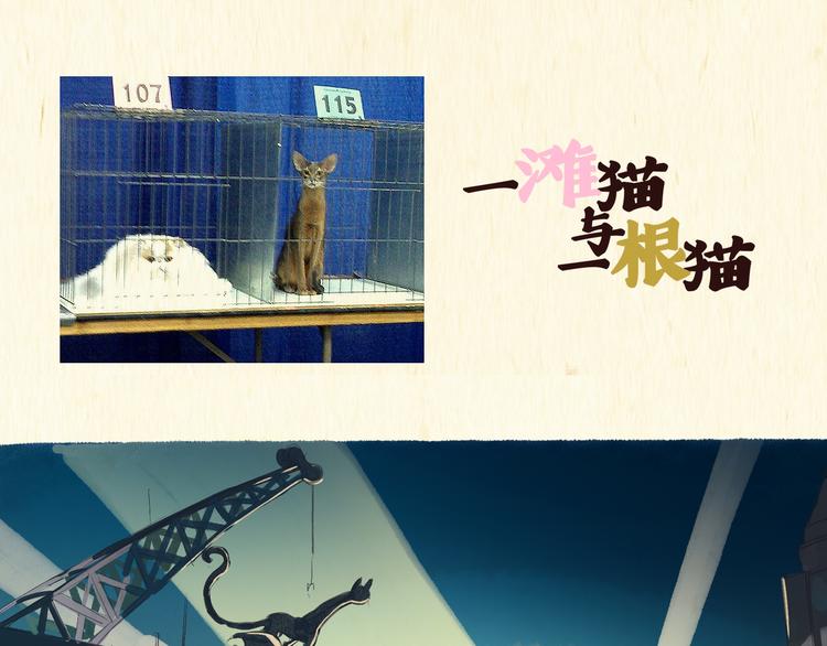 《一滩猫与一根猫》搅拌机（上） 第1页