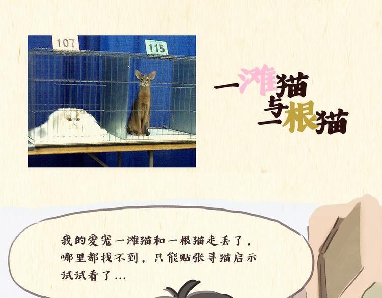 《一滩猫与一根猫》健身房（上） 第1页