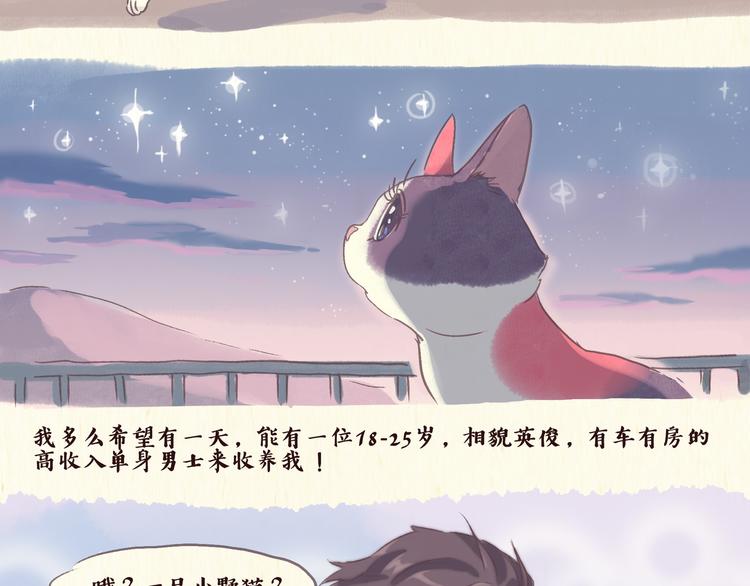 《一滩猫与一根猫》流浪猫（上） 第10页