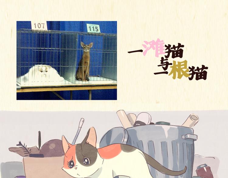 《一滩猫与一根猫》流浪猫（上） 第1页