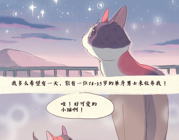 《一滩猫与一根猫》流浪猫（上） 第3页