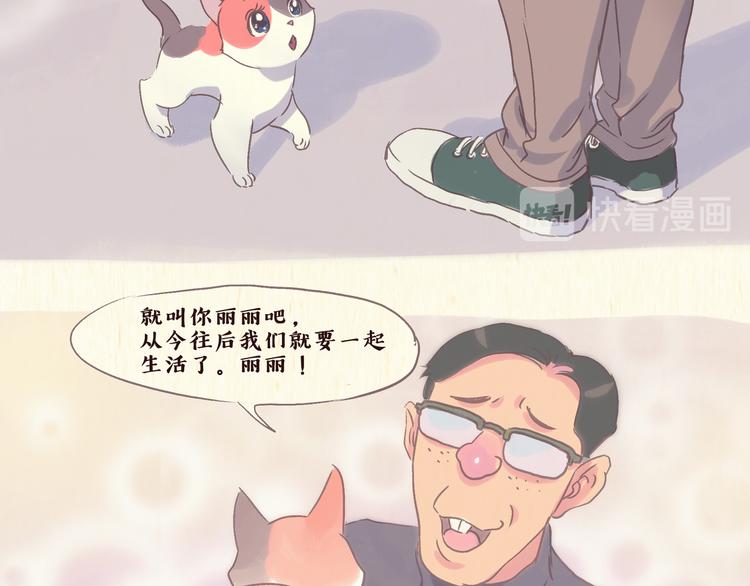 《一滩猫与一根猫》流浪猫（上） 第4页