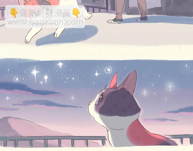 《一滩猫与一根猫》流浪猫（上） 第6页