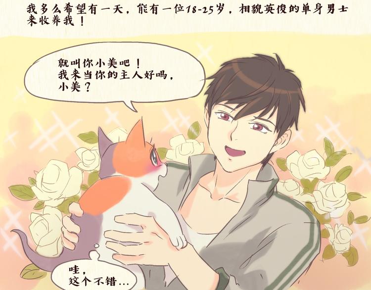 《一滩猫与一根猫》流浪猫（上） 第7页