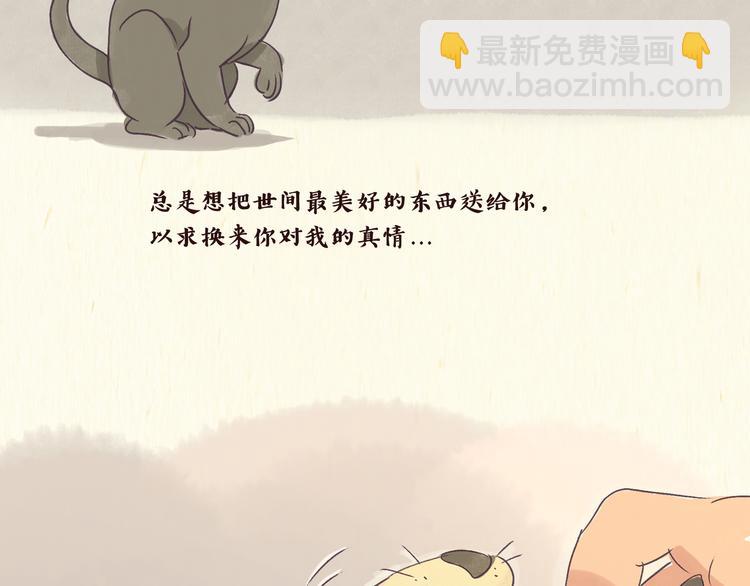 《一滩猫与一根猫》初遇 第10页