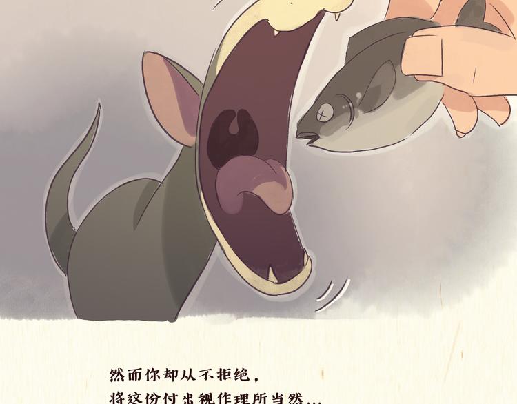 《一滩猫与一根猫》初遇 第11页