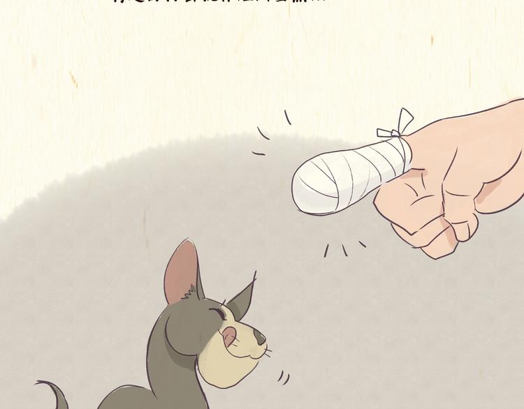 《一滩猫与一根猫》初遇 第12页