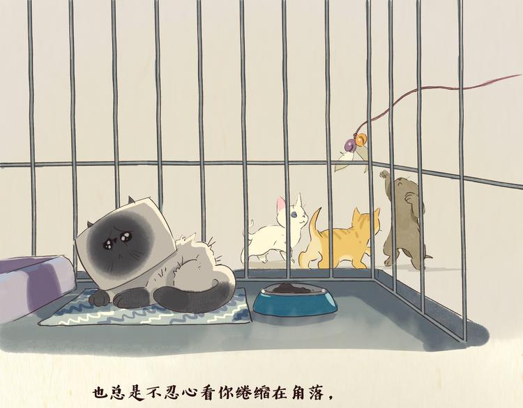 《一滩猫与一根猫》初遇 第14页