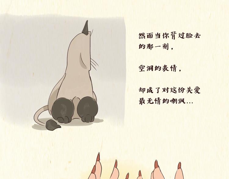 《一滩猫与一根猫》初遇 第16页