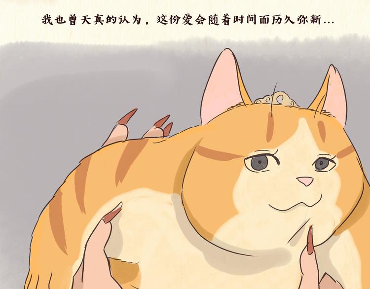 《一滩猫与一根猫》初遇 第19页