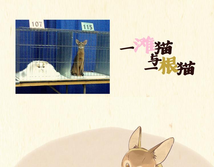 《一滩猫与一根猫》初遇 第1页