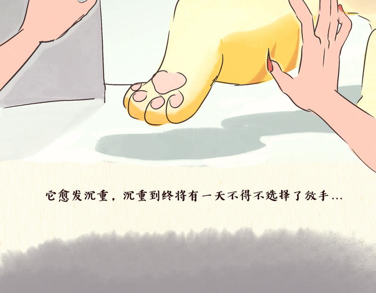 《一滩猫与一根猫》初遇 第23页