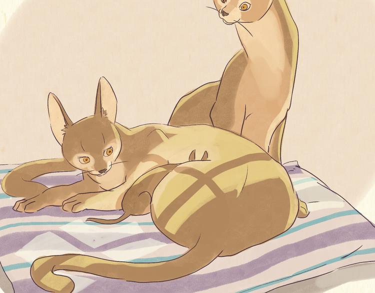 《一滩猫与一根猫》初遇 第2页