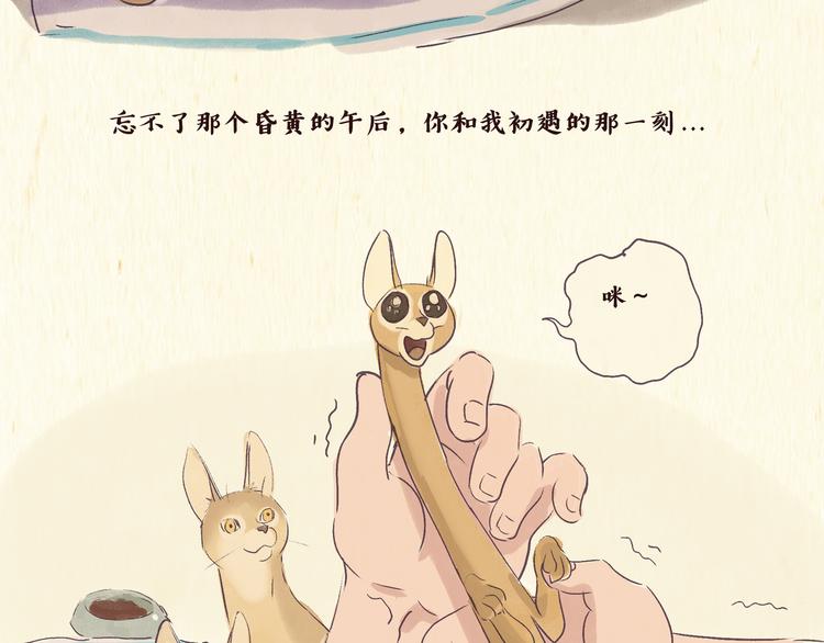 《一滩猫与一根猫》初遇 第3页