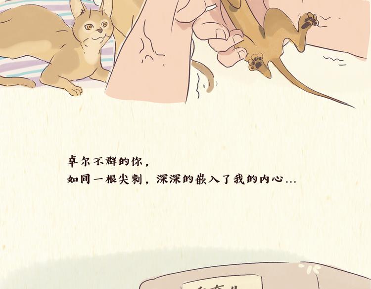 《一滩猫与一根猫》初遇 第4页