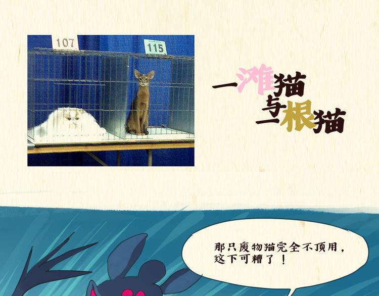 《一滩猫与一根猫》魔法少女（下） 第1页