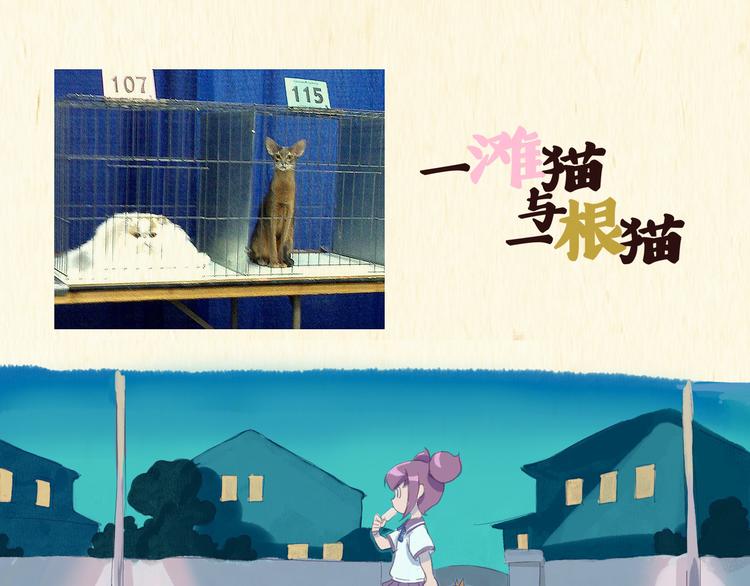 《一滩猫与一根猫》魔法少女（上） 第1页