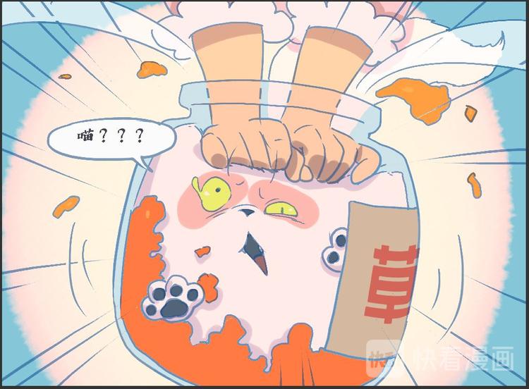 《一滩猫与一根猫》一滩猫的一万种身份 第4页