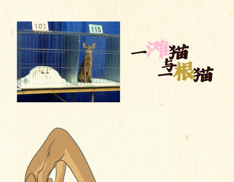 《一滩猫与一根猫》美食（1） 第1页
