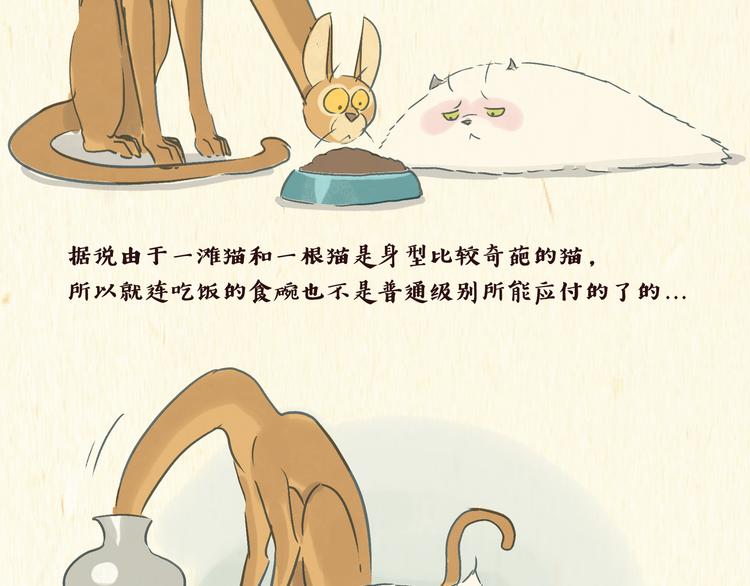 《一滩猫与一根猫》美食（1） 第2页