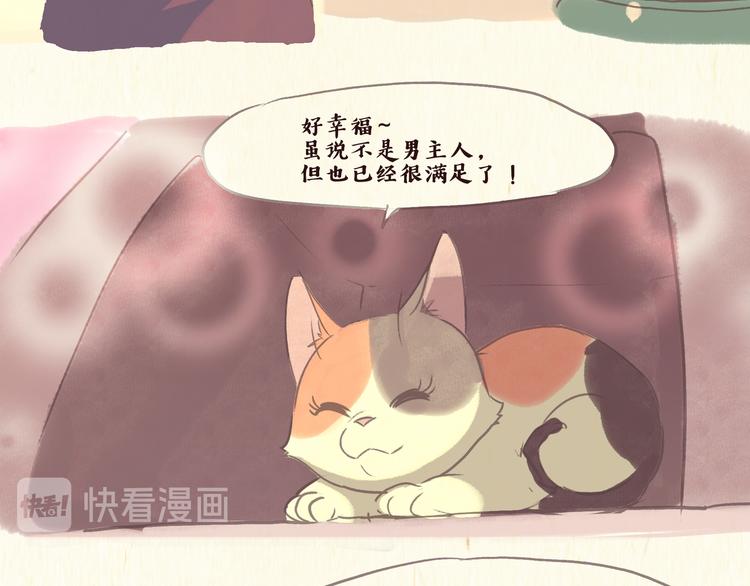 《一滩猫与一根猫》流浪猫（下） 第11页